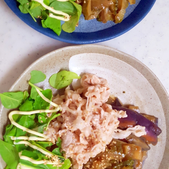 大満足！夏野菜の焼き浸しと冷しゃぶプレート